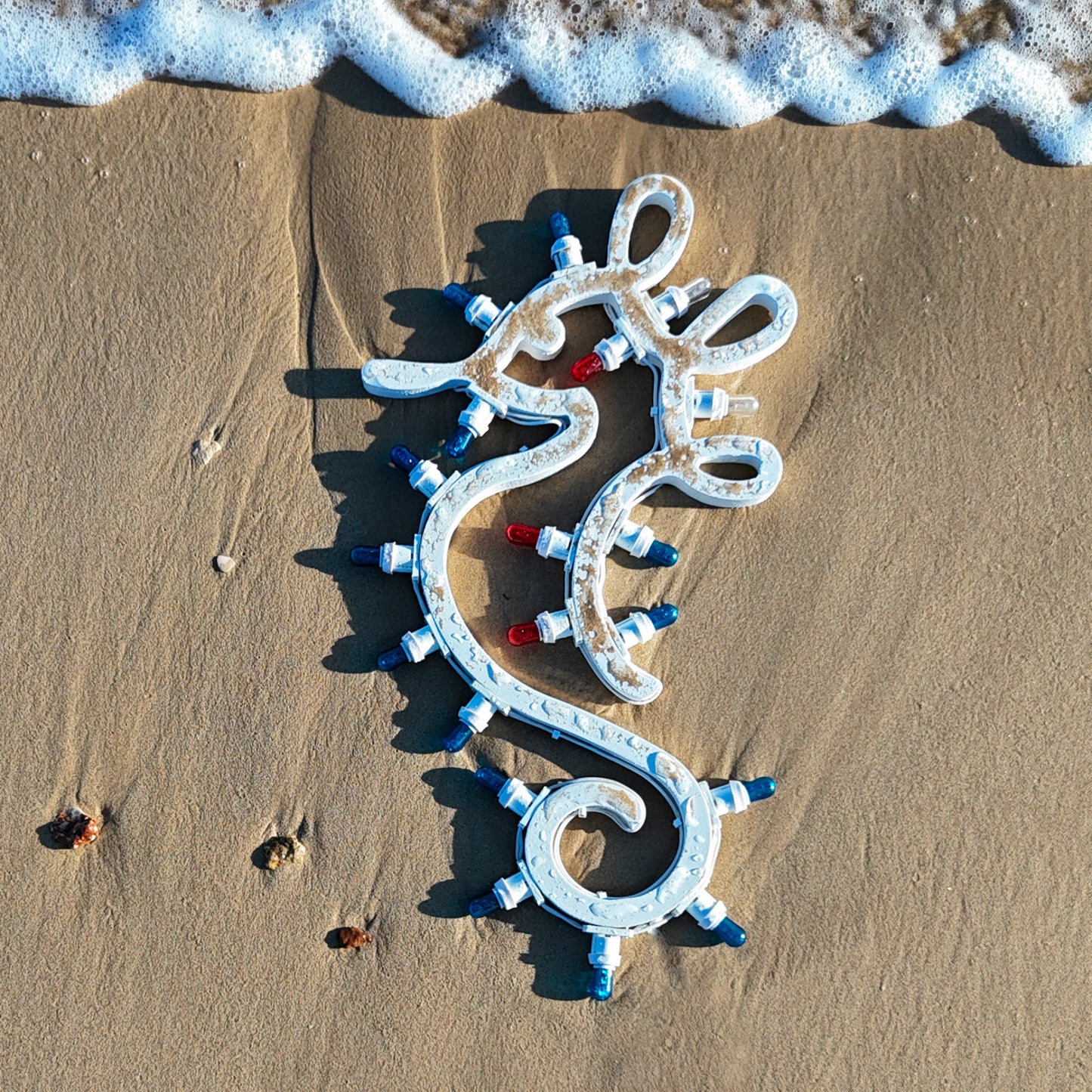 Little seahorse