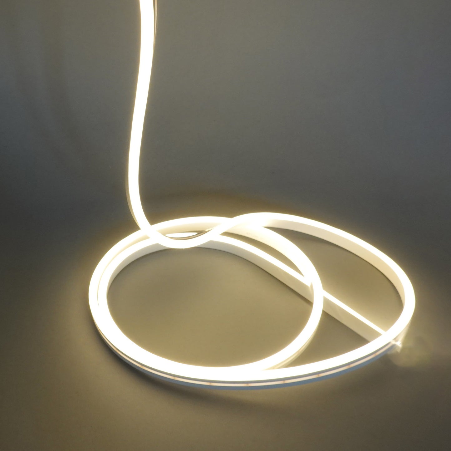 Neon LED flessibile 12V 50m 36 LED/m IP65 (taglio 2,5 cm)
