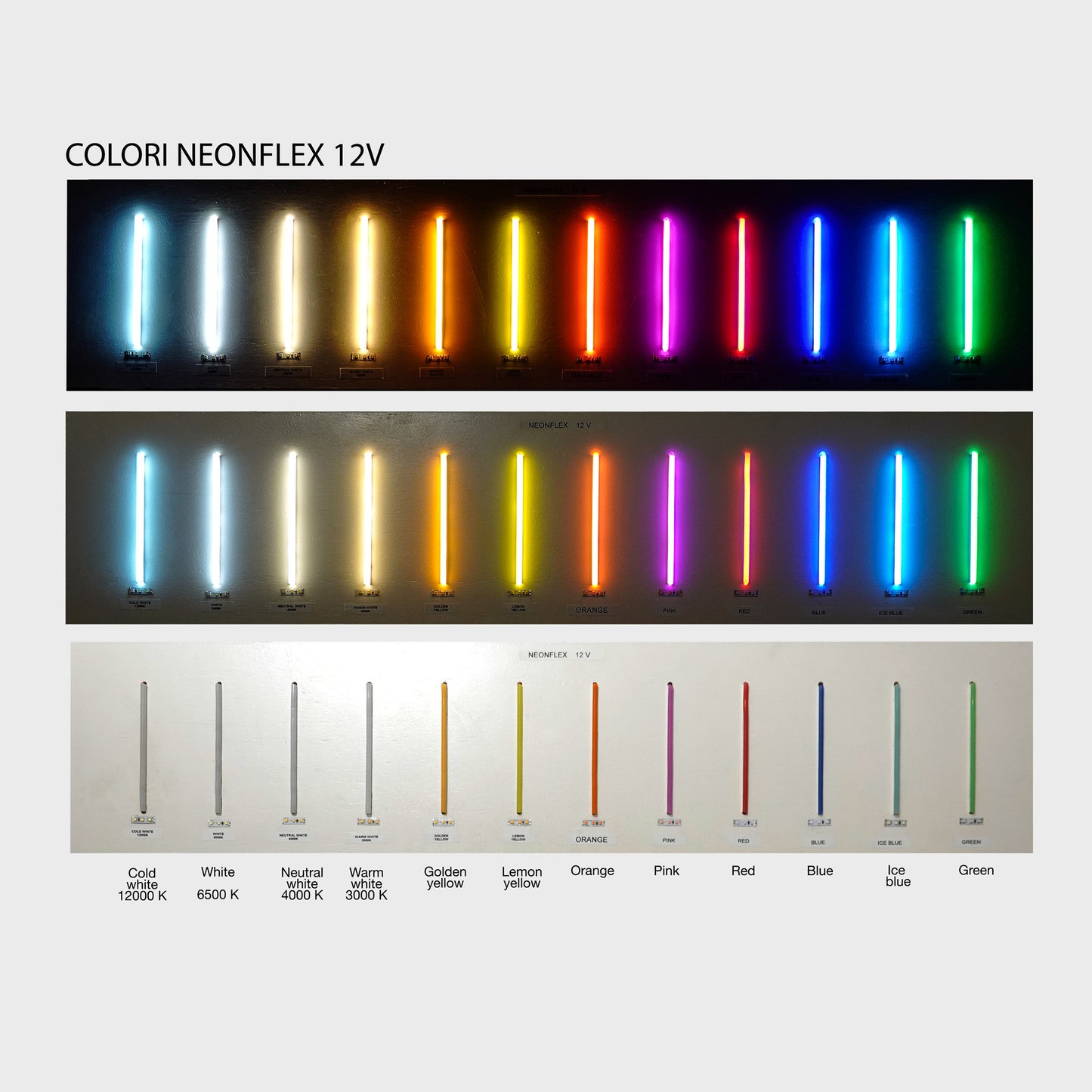 Neon LED flessibile 12V 50m 36 LED/m IP65 (taglio 2,5 cm)