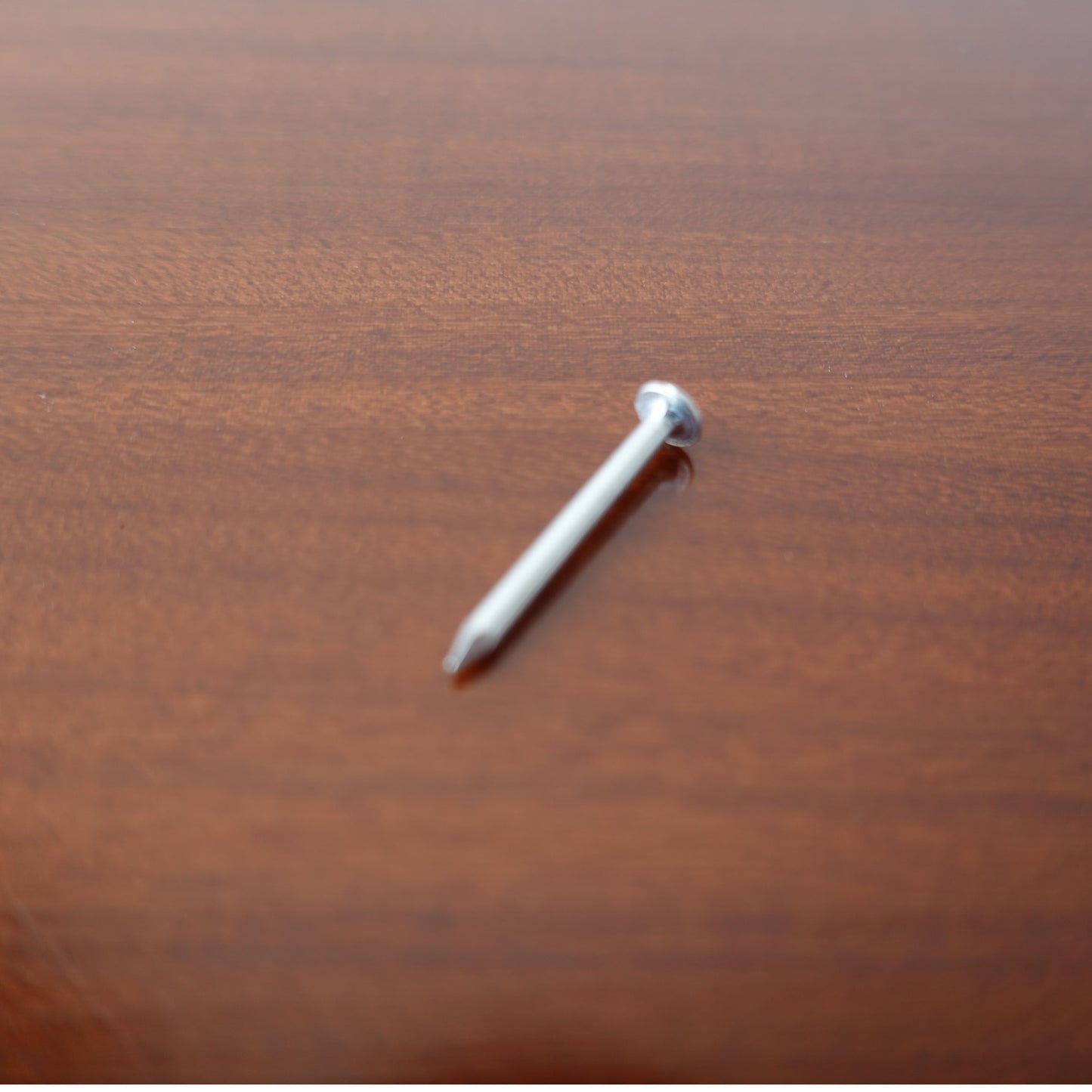 Chiodi zincati 1,2×20 mm per portalampade E14 (conf. 5 kg)