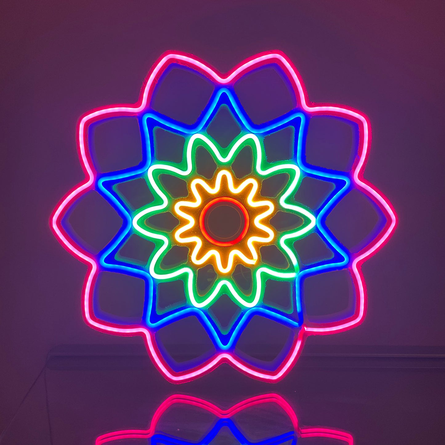 Flexible LED Neon Light 12V 50m 120 LEDs/m IP65 (2.5cm cut)