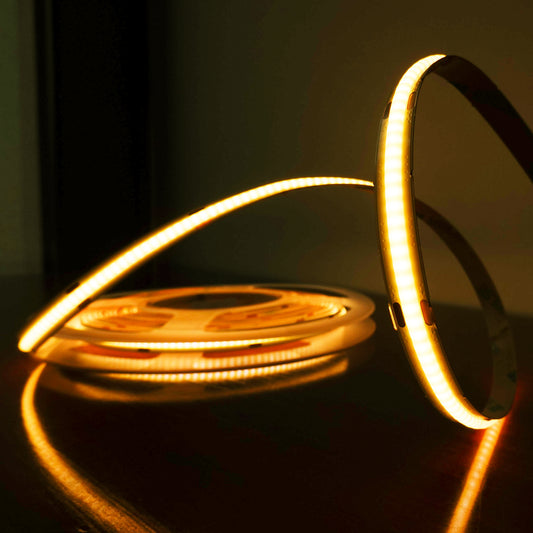 Striscia LED COB monofacciale 24V 5m uso interno IP20