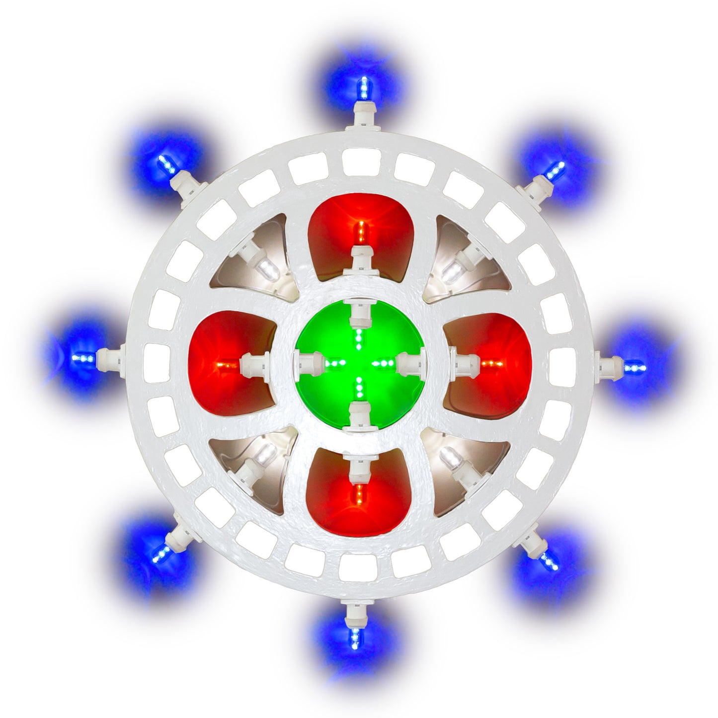 Latin Flower 