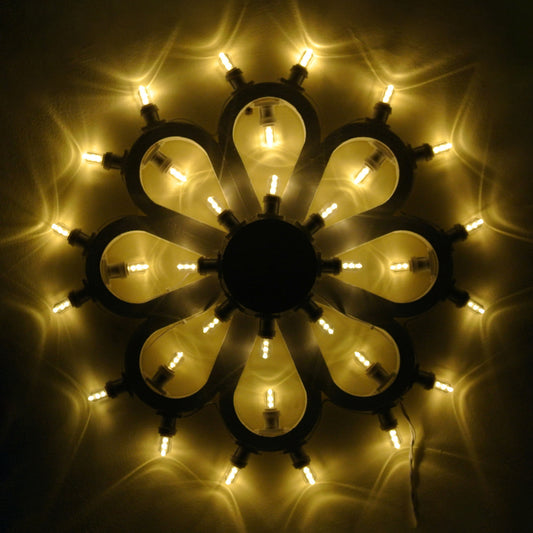 Daisy Flower Variant 