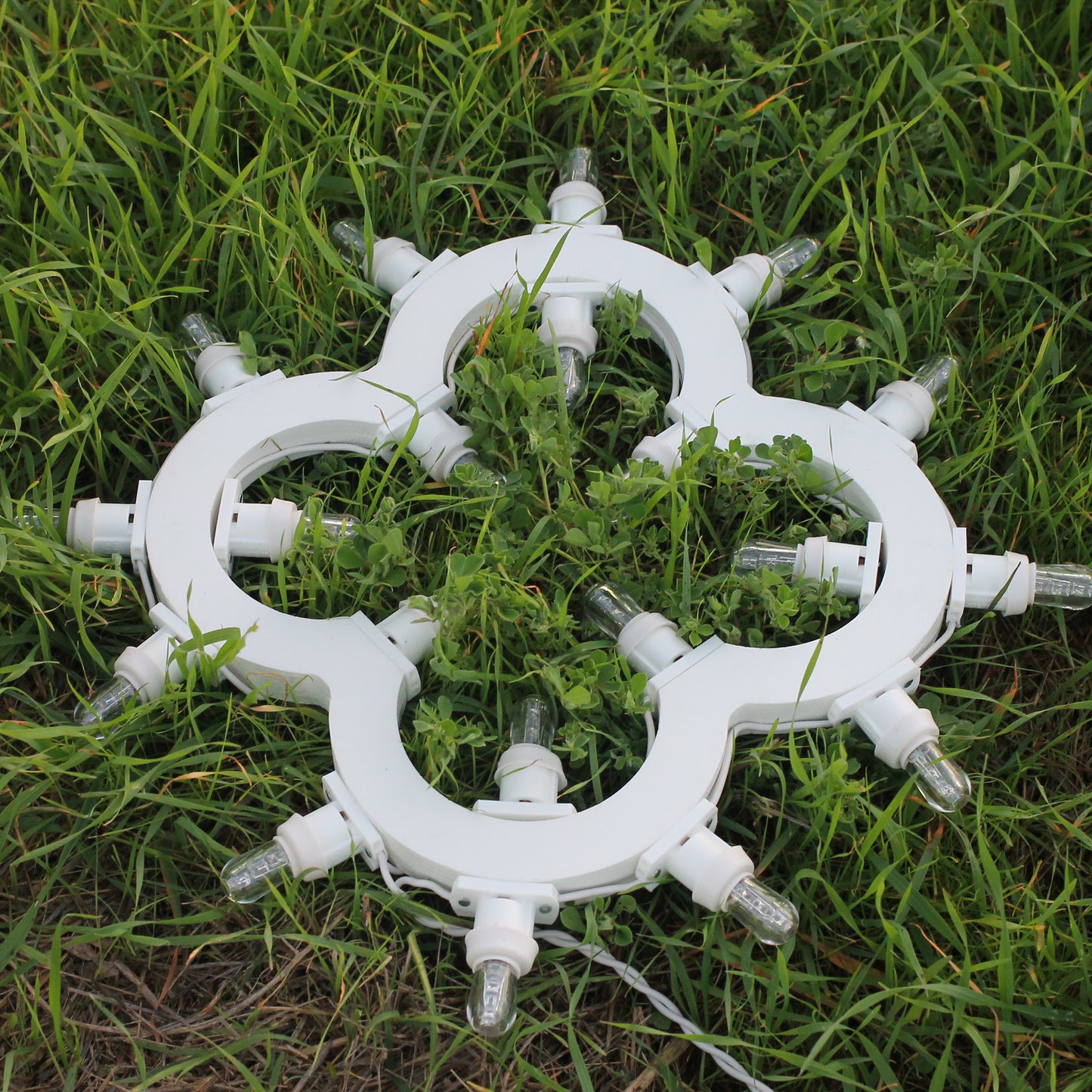 Four-leaf clover 