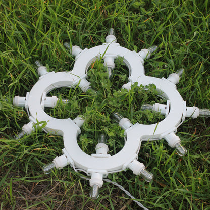 Four-leaf clover 