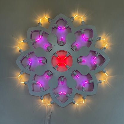 Oxford Rosette 