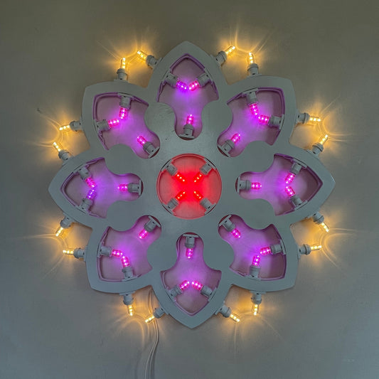 Oxford Rosette 