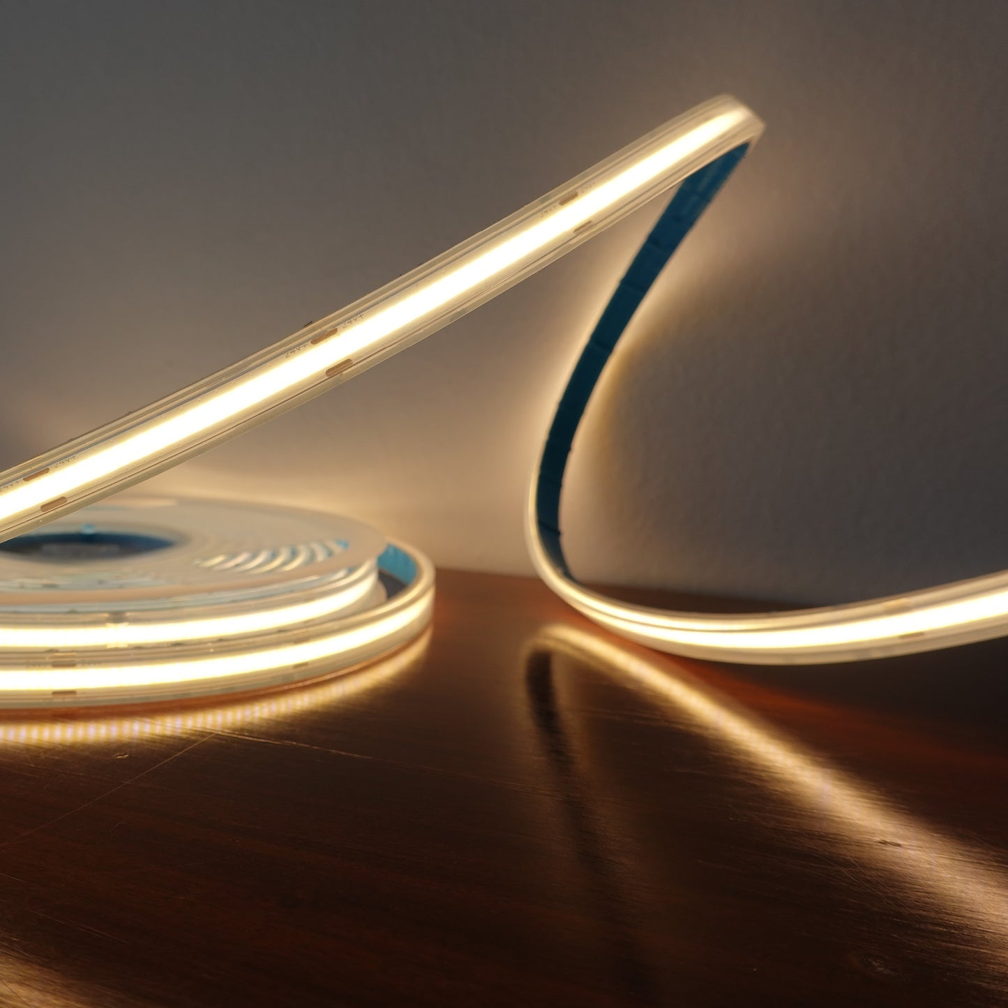 Striscia LED COB monofacciale 24V 5m uso esterno IP67