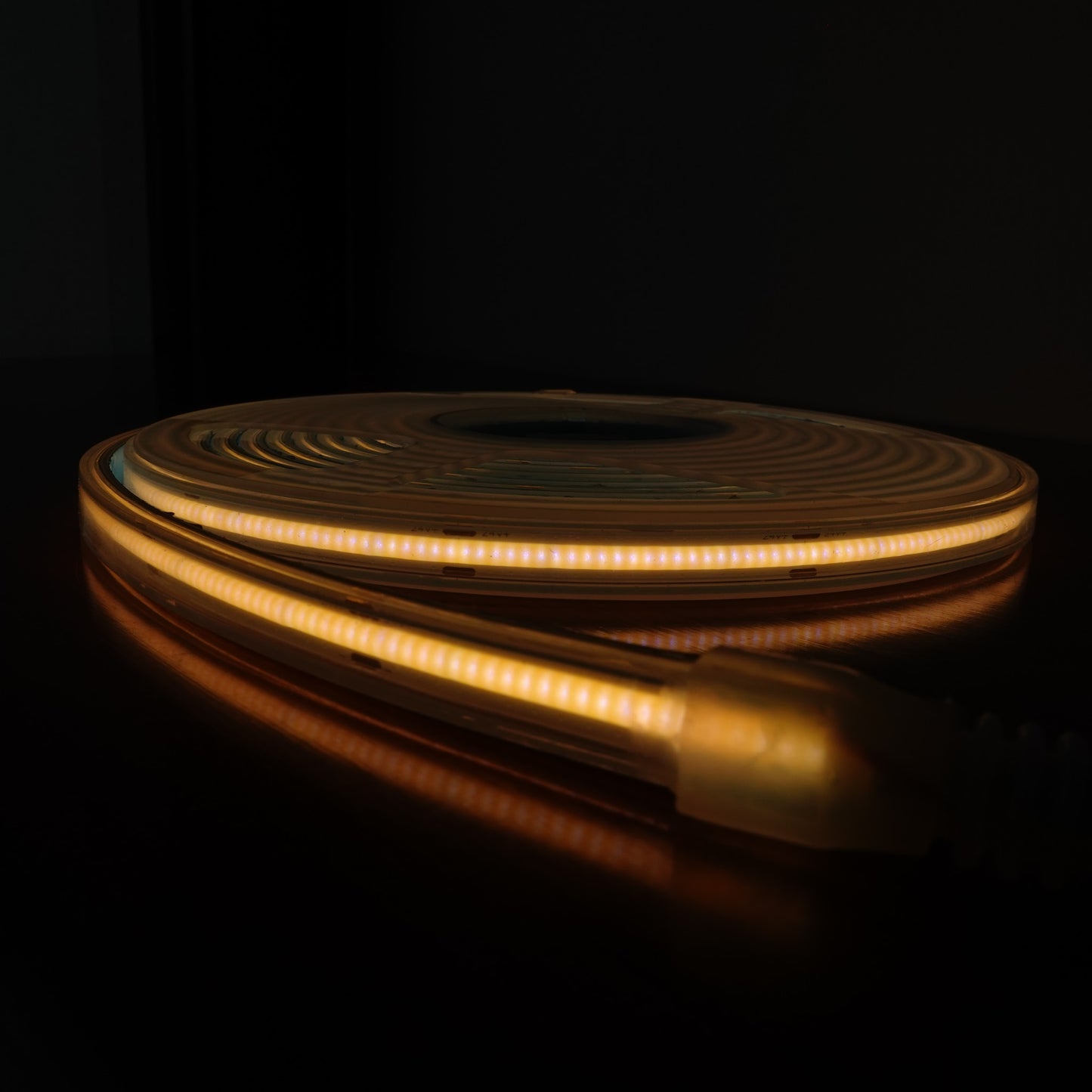 Striscia LED COB monofacciale 24V 5m uso esterno IP67