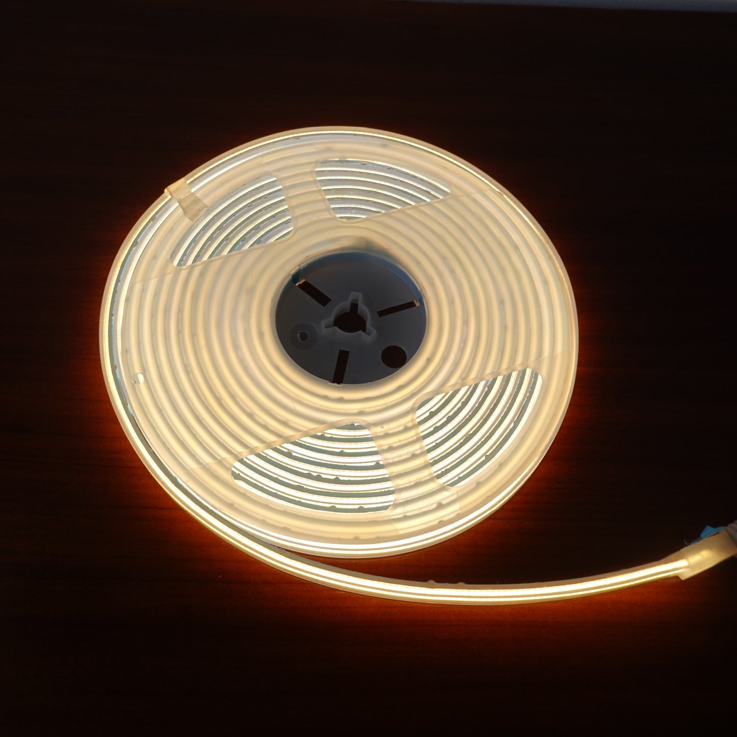 Striscia LED COB monofacciale 24V 5m uso esterno IP67