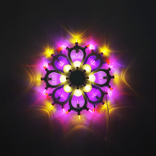 Flower of Lecce 