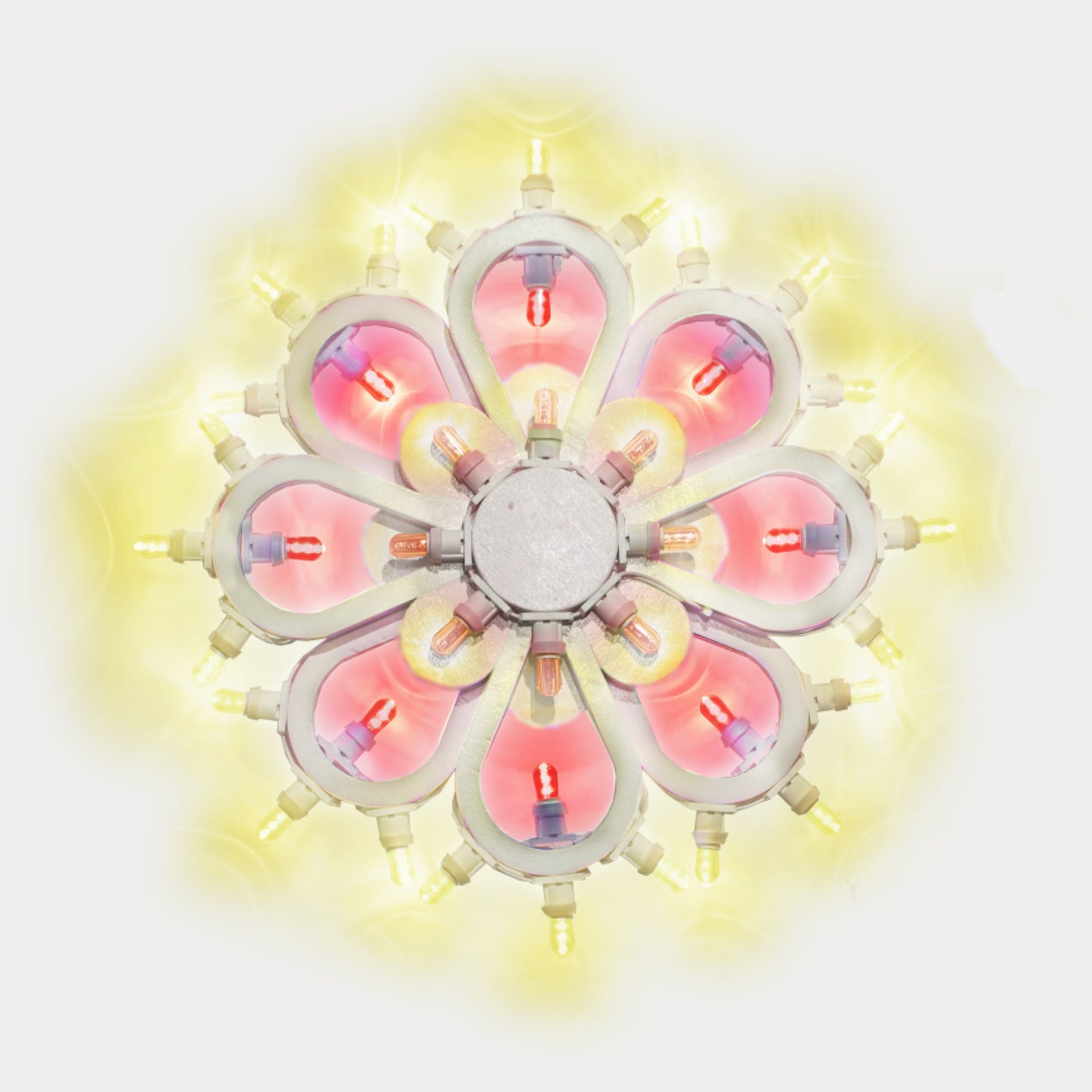 Flower of Lecce 